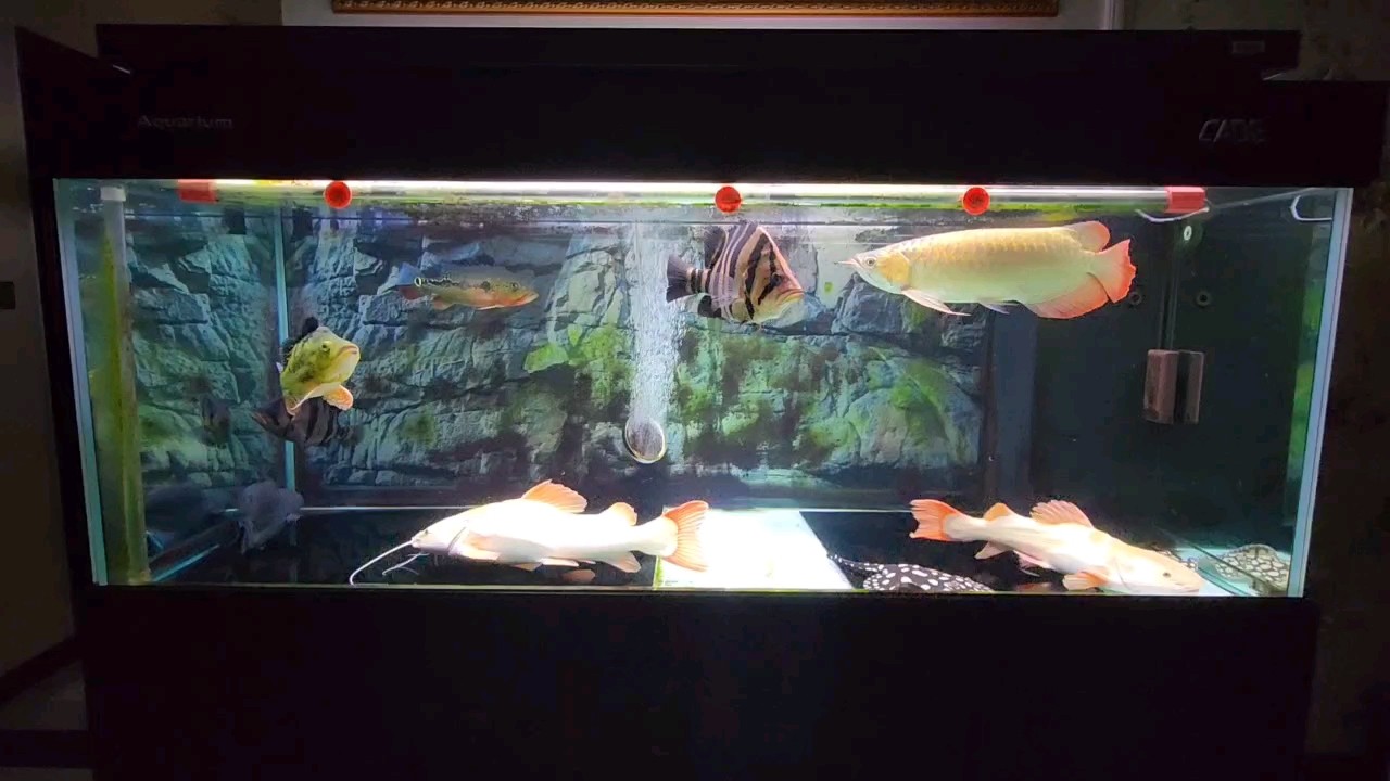 換季節了，要好好注意