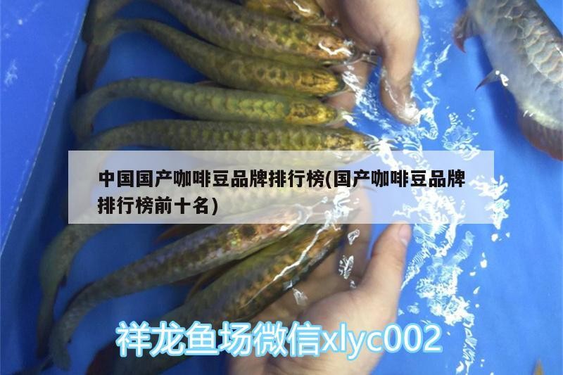 中國國產咖啡豆品牌排行榜(國產咖啡豆品牌排行榜前十名)