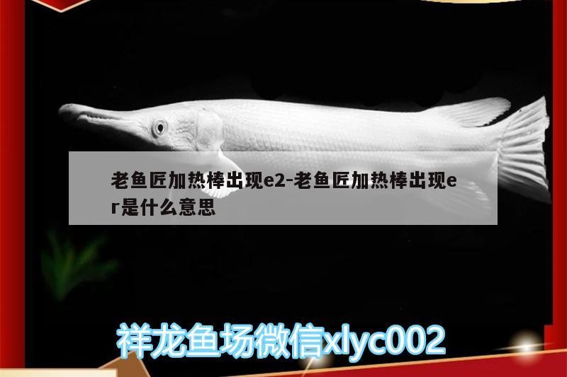 老魚匠加熱棒出現e2:老魚匠加熱棒出現er是什么意思