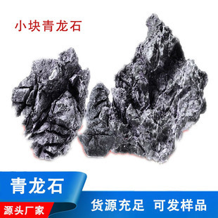 廣東觀賞魚(yú)鑒定機(jī)構(gòu)名單查詢(xún)（廣東觀賞魚(yú)鑒定機(jī)構(gòu)名單查詢(xún)官網(wǎng)）