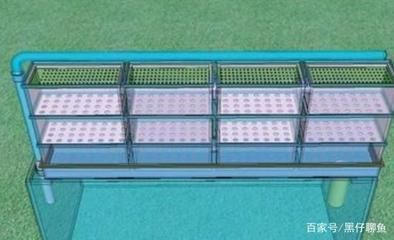成都哪里買魚缸 成都哪里買魚缸 魚缸百科