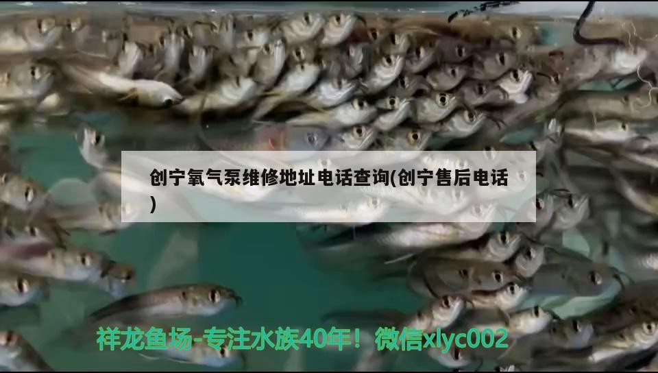 創寧氧氣泵維修地址電話查詢(創寧售后電話)