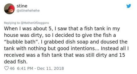 fish tank魚缸美國短篇:29篇美國短篇小說fishtank魚缸fishtank劇情 魚缸百科 第1張 fish tank魚缸美國短篇:29篇美國短篇小說fishtank魚缸fishtank劇情 fish tank魚缸美國短篇:29篇美國短篇小說fishtank魚缸fishtank劇情 魚缸百科 第1張