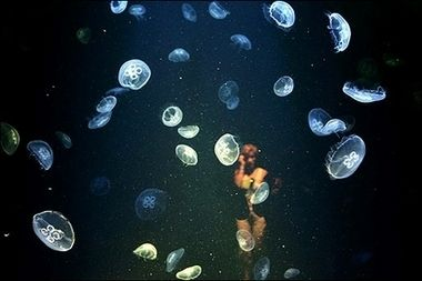 fish tank魚缸美國短篇:29篇美國短篇小說fishtank魚缸fishtank劇情 魚缸百科 第4張 fish tank魚缸美國短篇:29篇美國短篇小說fishtank魚缸fishtank劇情 fish tank魚缸美國短篇:29篇美國短篇小說fishtank魚缸fishtank劇情 魚缸百科 第4張