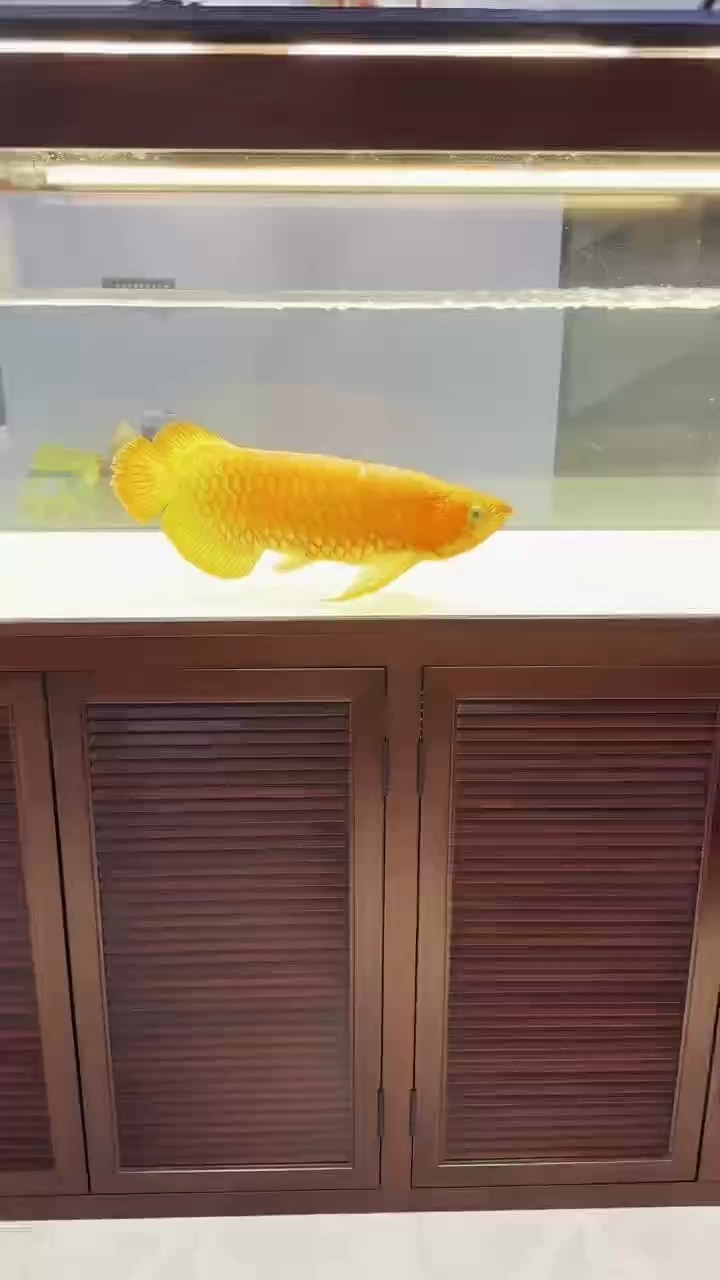 視頻壓縮 原版可轉抖音觀看