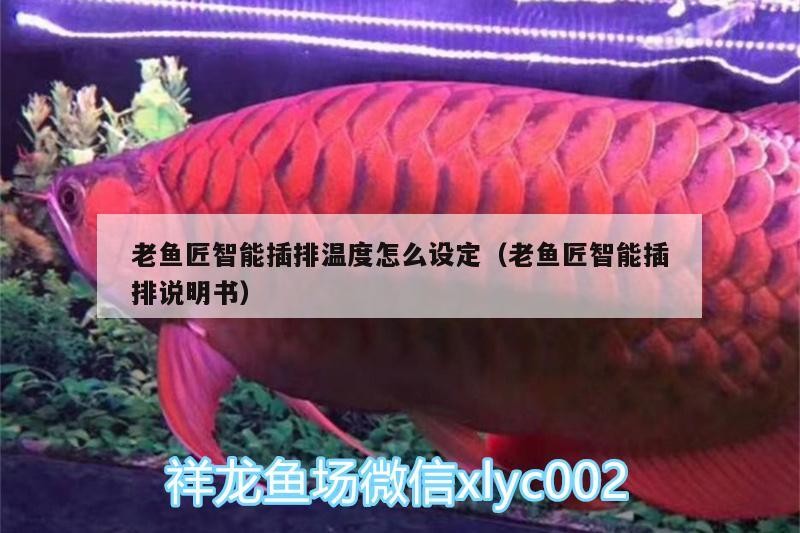 老魚匠智能插排溫度怎么設定（老魚匠智能插排說明書） 老魚匠智能插排溫度怎么設定（老魚匠智能插排說明書） 老魚匠