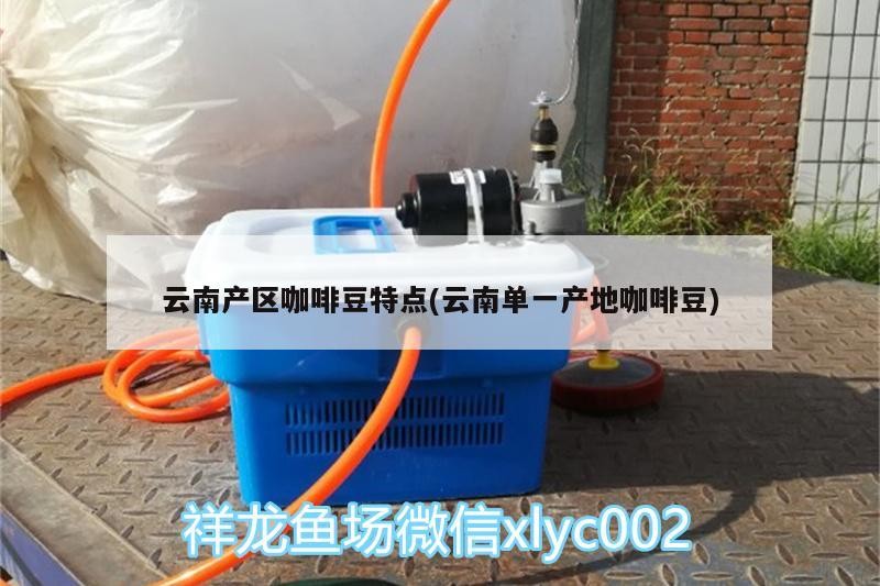 云南產區咖啡豆特點(云南單一產地咖啡豆)