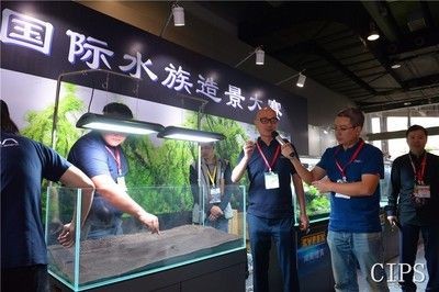 2024長城水族展：2024長城水族展將于2024年9月10-13日在廣州市舉辦 2024長城水族展：2024長城水族展將于2024年9月10-13日在廣州市舉辦 魚缸百科 第2張