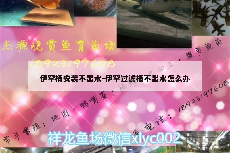 伊罕桶安裝不出水:伊罕過濾桶不出水怎么辦 伊罕桶安裝不出水:伊罕過濾桶不出水怎么辦 伊罕水族