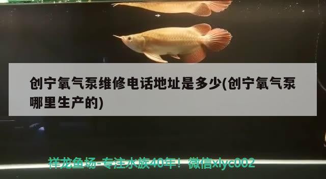 創寧氧氣泵維修電話地址是多少(創寧氧氣泵哪里生產的) 創寧氧氣泵維修電話地址是多少(創寧氧氣泵哪里生產的) 創寧水族