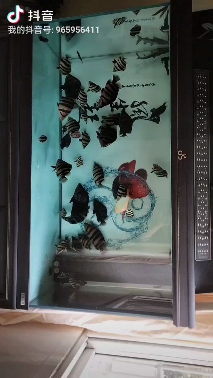 新城區劉俊麗水族店 全國水族館企業名錄 第1張 新城區劉俊麗水族店 新城區劉俊麗水族店 全國水族館企業名錄 第1張