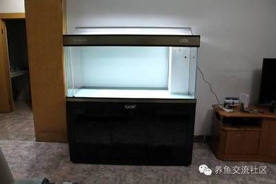 diy魚(yú)缸制作圖溢流：diy魚(yú)缸制作圖溢流的工作原理 diy魚(yú)缸制作圖溢流：diy魚(yú)缸制作圖溢流的工作原理 魚(yú)缸百科 第1張