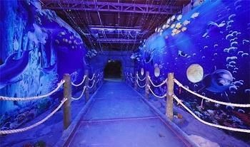 湛江水族館vs祥龍魚場（湛江水族館與祥龍魚場有什么區別？） 湛江水族館vs祥龍魚場（湛江水族館與祥龍魚場有什么區別？） 全國水族館企業名錄 第2張