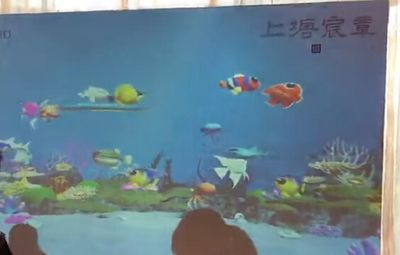 湛江水族館vs祥龍魚場（湛江水族館與祥龍魚場有什么區別？） 湛江水族館vs祥龍魚場（湛江水族館與祥龍魚場有什么區別？） 全國水族館企業名錄 第5張