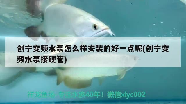 創寧變頻水泵怎么樣安裝的好一點呢(創寧變頻水泵接硬管)