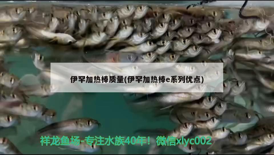 伊罕加熱棒質(zhì)量(伊罕加熱棒e系列優(yōu)點(diǎn)) 伊罕加熱棒質(zhì)量(伊罕加熱棒e系列優(yōu)點(diǎn)) 伊罕水族