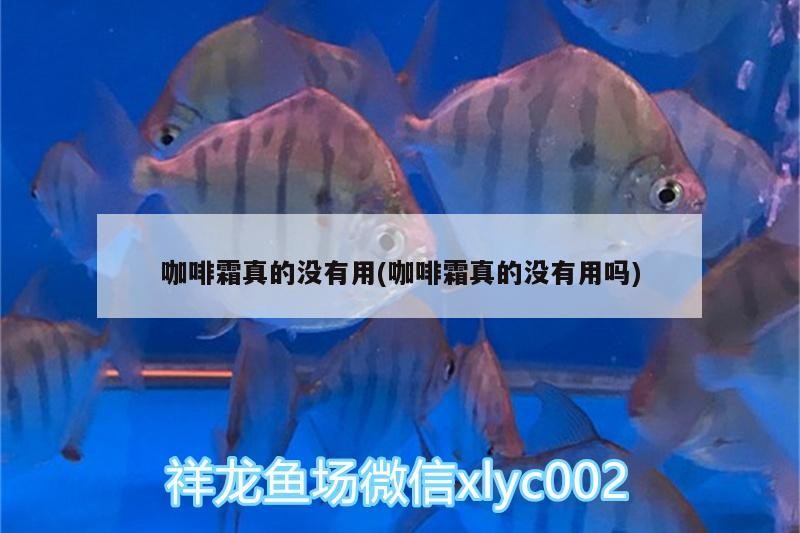 咖啡霜真的沒有用(咖啡霜真的沒有用嗎)