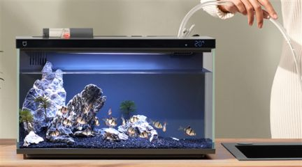 1506080的魚缸多少L：150/60/80魚缸容量計算公式 1506080的魚缸多少L：150/60/80魚缸容量計算公式 魚缸百科 第2張
