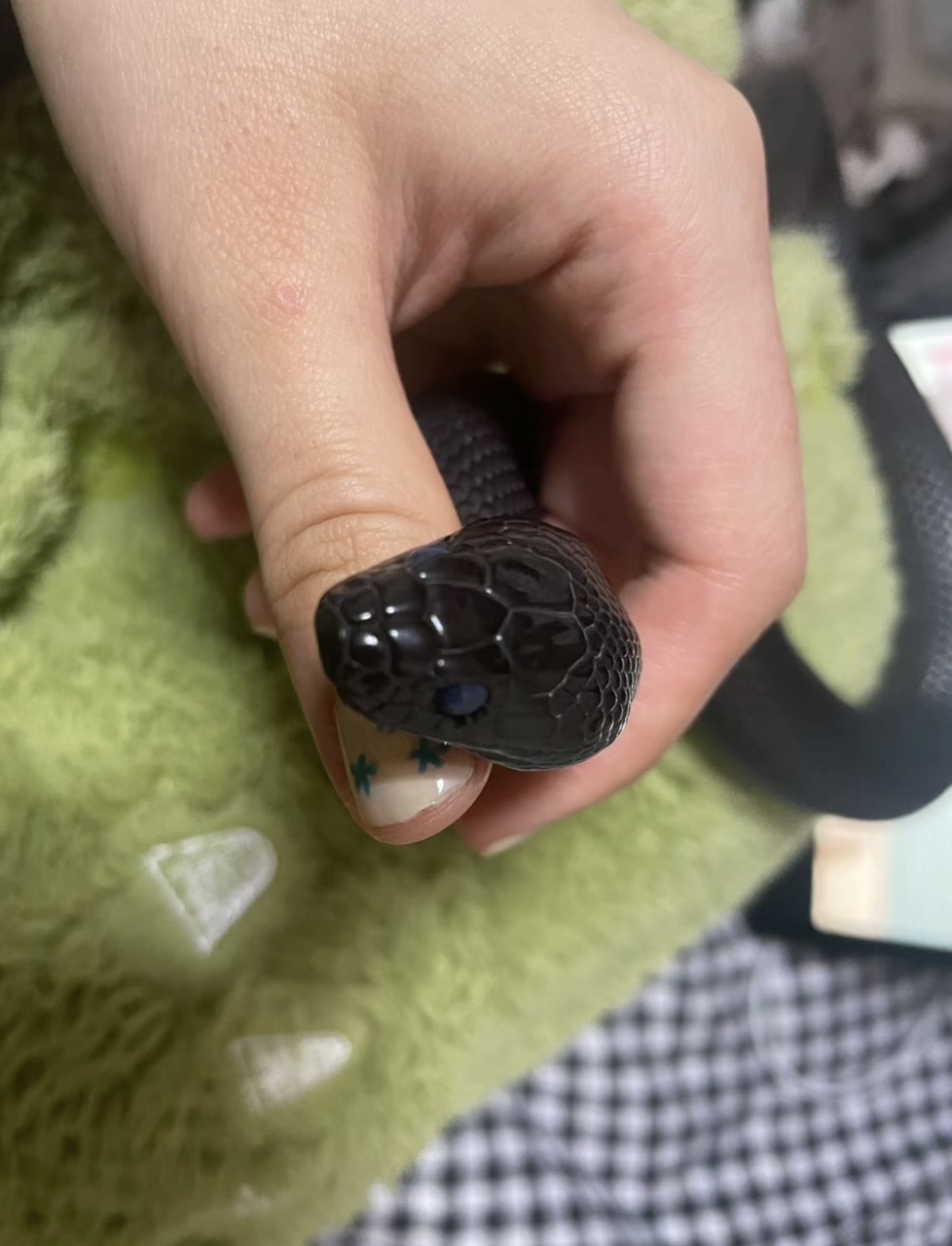 特價促銷一批寵物蛇黑王