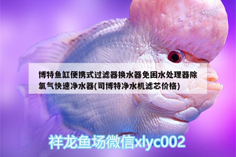 博特魚缸便攜式過濾器換水器免困水處理器除氯氣快速凈水器(司博特凈水機濾芯價格)