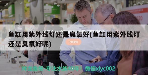 魚缸用增氧泵價格是多少:魚缸增氧機-xtrac增氧機-xtrac增氧機 魚缸用紫外線燈還是臭氧好(魚缸用紫外線燈還是臭氧好呢) iwish愛唯希品牌魚缸 魚缸用紫外線燈還是臭氧好(魚缸用紫外線燈還是臭氧好呢) 魚缸用紫外線燈還是臭氧好(魚缸用紫外線燈還是臭氧好呢) iwish愛唯希品牌魚缸