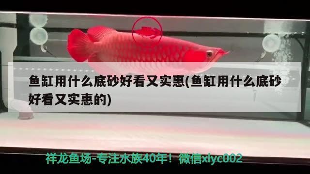 魚缸用什么底砂好看又實惠(魚缸用什么底砂好看又實惠的)
