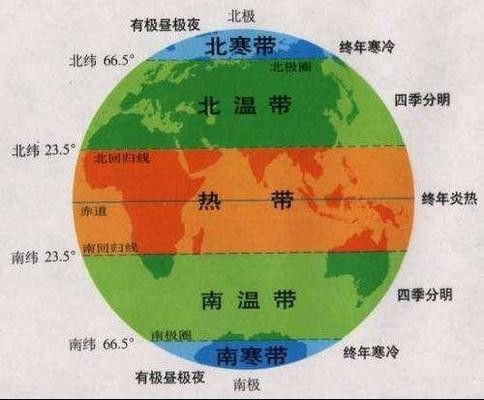錦鯉與哪種清潔魚混養(yǎng)最佳？打造和諧水族環(huán)境的完美搭檔