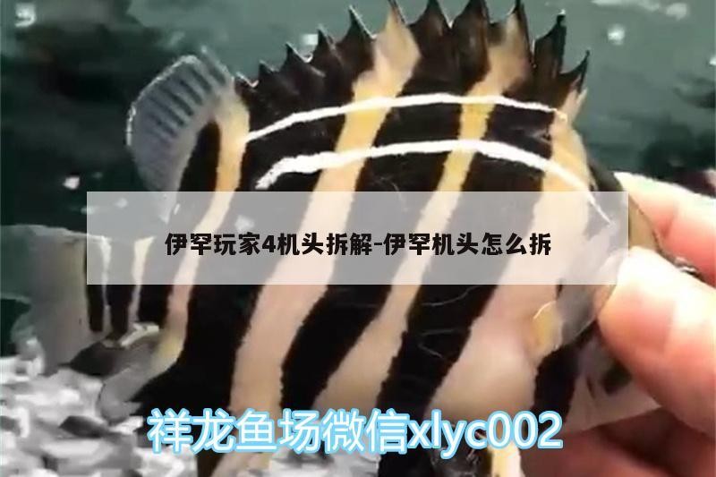 伊罕玩家4機頭拆解:伊罕機頭怎么拆