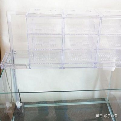 80長(zhǎng)的魚(yú)缸寬多少合適：80厘米長(zhǎng)的魚(yú)缸在寬度上的選擇
