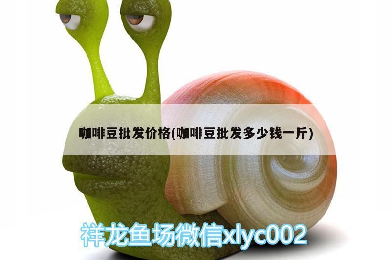 咖啡豆批發價格(咖啡豆批發多少錢一斤)