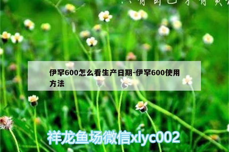 伊罕600怎么看生產日期:伊罕600使用方法