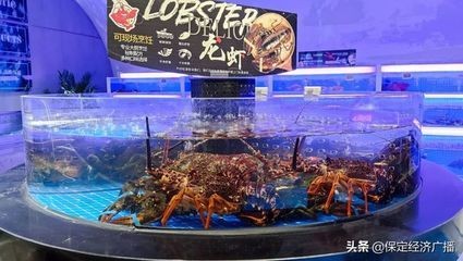 保定水族館vs祥龍魚場（保定水族館位于河北省保定市提供觀賞魚的零售服務(wù)） 保定水族館vs祥龍魚場（保定水族館位于河北省保定市提供觀賞魚的零售服務(wù)） 全國水族館企業(yè)名錄 第4張