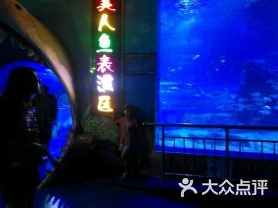 保定水族館vs祥龍魚場（保定水族館位于河北省保定市提供觀賞魚的零售服務(wù)） 保定水族館vs祥龍魚場（保定水族館位于河北省保定市提供觀賞魚的零售服務(wù)） 全國水族館企業(yè)名錄 第5張