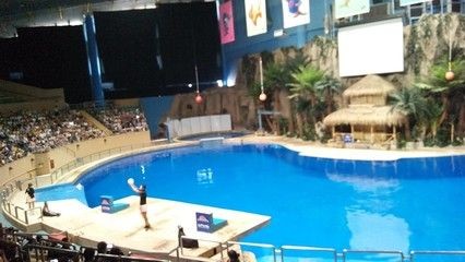 保定水族館vs祥龍魚場（保定水族館位于河北省保定市提供觀賞魚的零售服務(wù)） 保定水族館vs祥龍魚場（保定水族館位于河北省保定市提供觀賞魚的零售服務(wù)） 全國水族館企業(yè)名錄 第6張