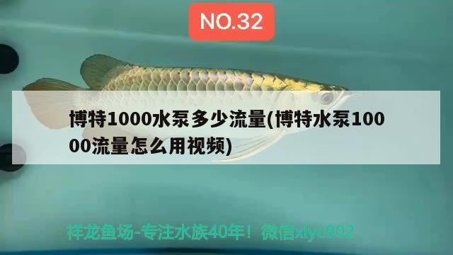 博特1000水泵多少流量(博特水泵10000流量怎么用視頻) 博特1000水泵多少流量(博特水泵10000流量怎么用視頻) 博特水族