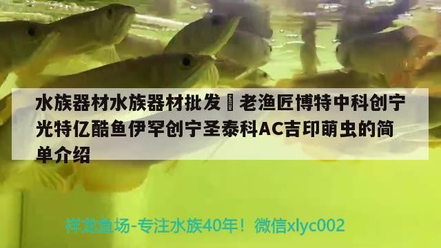 水族器材水族器材批發(fā)?老漁匠博特中科創(chuàng)寧光特億酷魚(yú)伊罕創(chuàng)寧圣泰科AC吉印萌蟲(chóng)的簡(jiǎn)單介紹