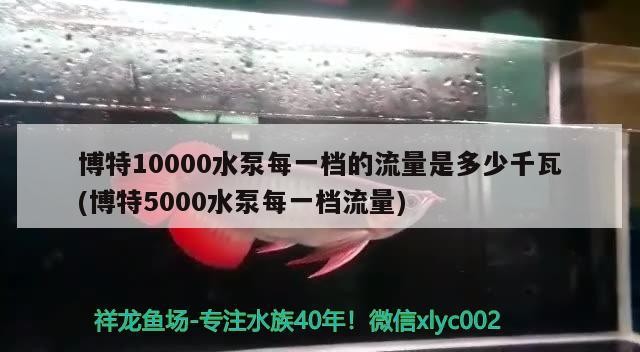 博特10000水泵每一檔的流量是多少千瓦(博特5000水泵每一檔流量) 博特10000水泵每一檔的流量是多少千瓦(博特5000水泵每一檔流量) 博特水族