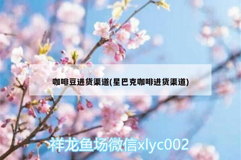 魚缸過濾器選購指南:自制魚缸過濾器魚缸上置過濾器對于養(yǎng)魚愛好者的必備知識 咖啡豆進貨渠道(星巴克咖啡進貨渠道) 馬來西亞咖啡 咖啡豆進貨渠道(星巴克咖啡進貨渠道) 咖啡豆進貨渠道(星巴克咖啡進貨渠道) 馬來西亞咖啡