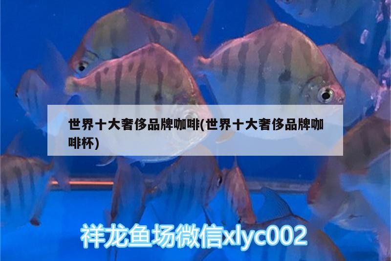 世界十大奢侈品牌咖啡(世界十大奢侈品牌咖啡杯) 世界十大奢侈品牌咖啡(世界十大奢侈品牌咖啡杯) 馬來西亞咖啡