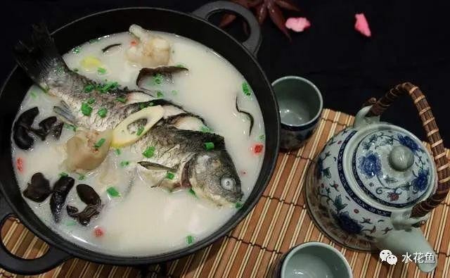 金魚死了又活了，神秘預兆還是科學解釋？