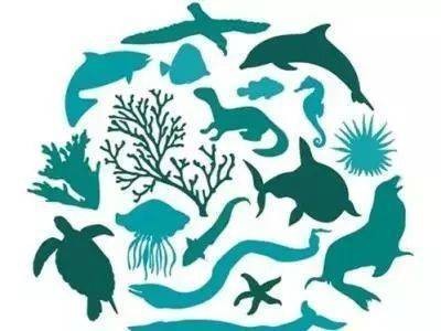 金魚死了可以埋花盆里嗎?生態葬法與注意事項全解析 龍魚百科 第3張 金魚死了可以埋花盆里嗎?生態葬法與注意事項全解析 金魚死了可以埋花盆里嗎?生態葬法與注意事項全解析 龍魚百科 第3張