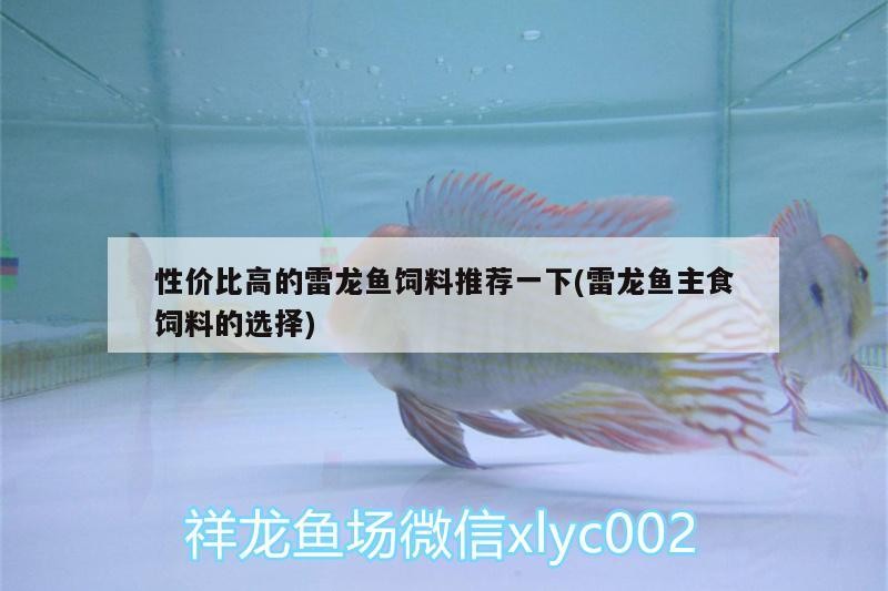 性價比高的雷龍魚飼料推薦一下(雷龍魚主食飼料的選擇)