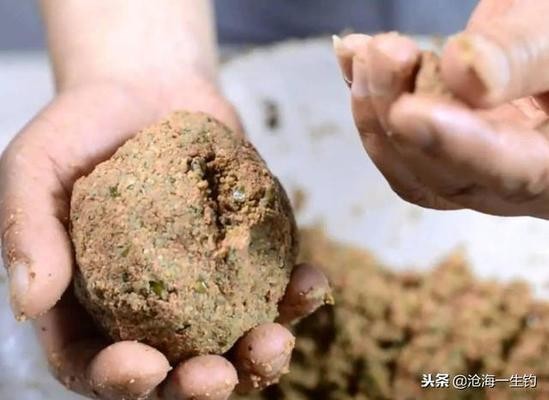 金魚觀賞魚，千年文化傳承與現(xiàn)代飼養(yǎng)技巧