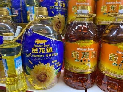 金龍魚怎么選擇顏色的，金龍魚燈光選擇技巧金龍魚燈光選擇技巧 金龍魚怎么選擇顏色的，金龍魚燈光選擇技巧金龍魚燈光選擇技巧 龍魚百科 第3張