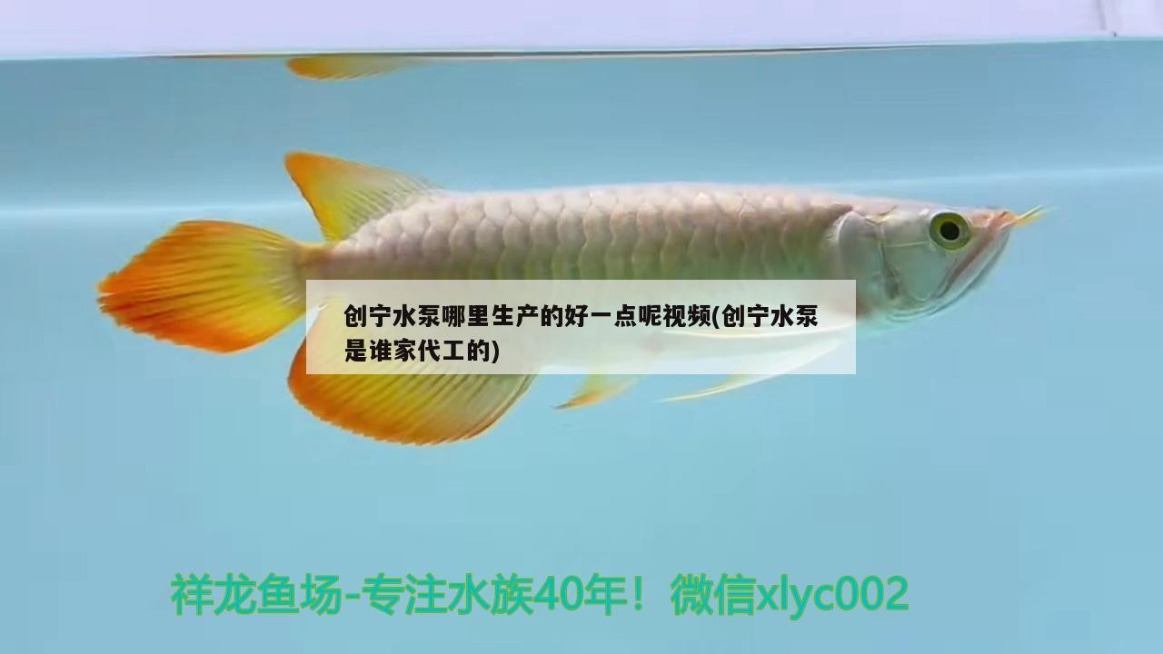 創(chuàng)寧水泵哪里生產(chǎn)的好一點(diǎn)呢視頻(創(chuàng)寧水泵是誰家代工的)
