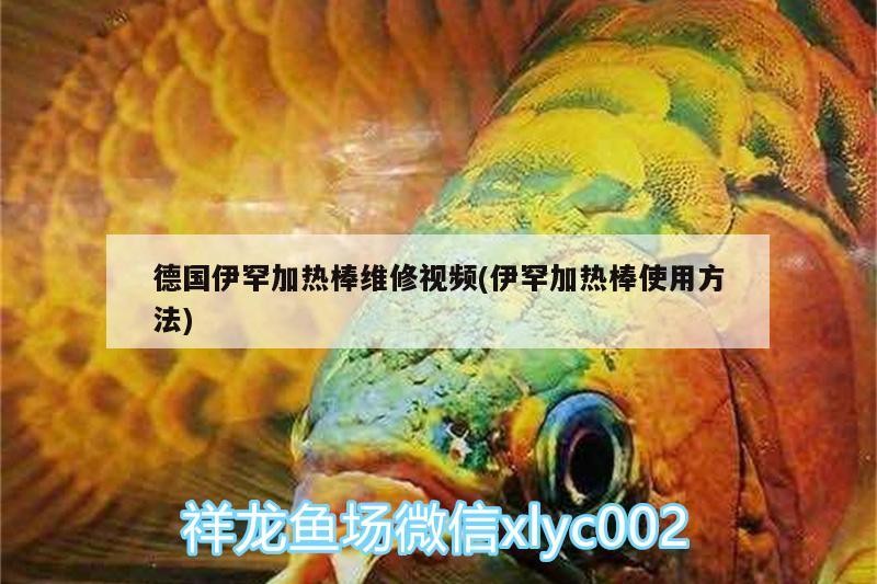 魚缸用增氧泵價格是多少:魚缸增氧機-xtrac增氧機-xtrac增氧機 德國伊罕加熱棒維修視頻(伊罕加熱棒使用方法) 伊罕水族 德國伊罕加熱棒維修視頻(伊罕加熱棒使用方法) 德國伊罕加熱棒維修視頻(伊罕加熱棒使用方法) 伊罕水族