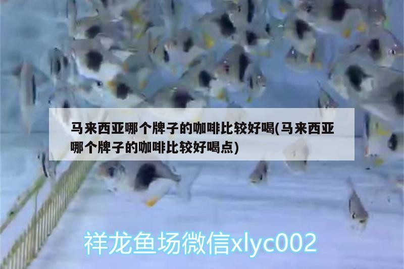 馬來西亞哪個牌子的咖啡比較好喝(馬來西亞哪個牌子的咖啡比較好喝點) 馬來西亞哪個牌子的咖啡比較好喝(馬來西亞哪個牌子的咖啡比較好喝點) 馬來西亞咖啡