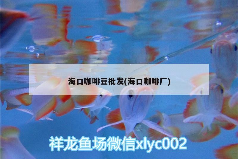 海口咖啡豆批發(fā)(海口咖啡廠(chǎng)) 海口咖啡豆批發(fā)(海口咖啡廠(chǎng)) 馬來(lái)西亞咖啡