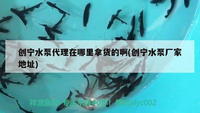 創寧水泵代理在哪里拿貨的啊(創寧水泵廠家地址)