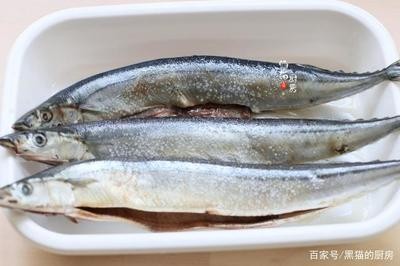 金龍魚養(yǎng)久了會(huì)得白血病嗎？揭秘真相與科學(xué)養(yǎng)護(hù)指南 金龍魚養(yǎng)久了會(huì)得白血病嗎？揭秘真相與科學(xué)養(yǎng)護(hù)指南 龍魚百科 第3張